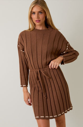 Sweater Dress